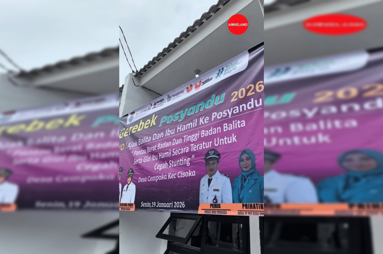 Posyandu Annieland
